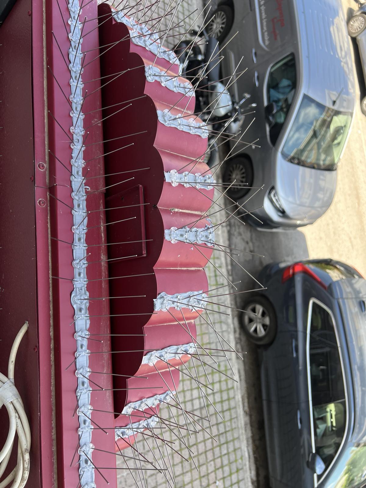 GOGA BIRDSHIELD (11)