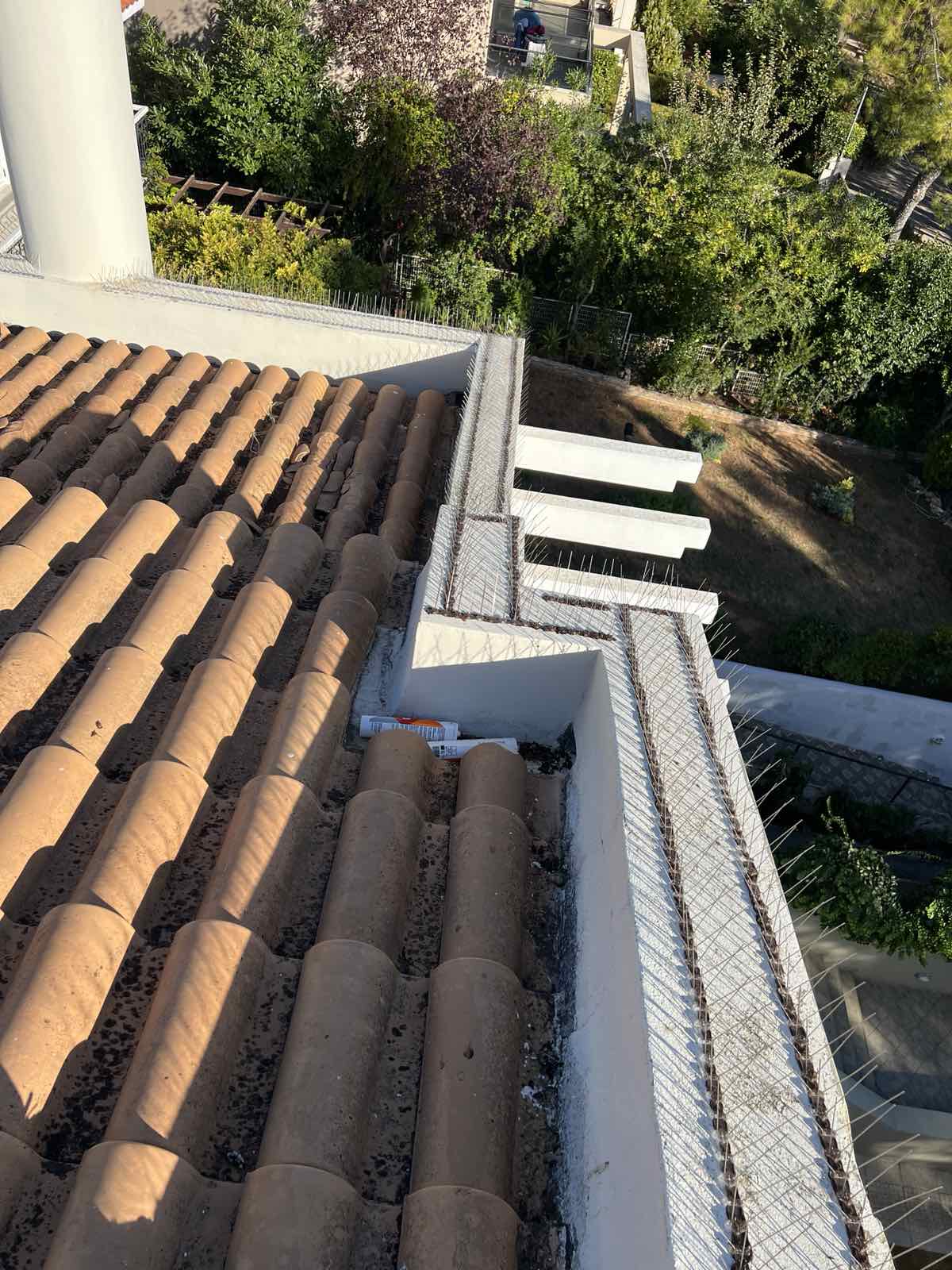 GOGA BIRDSHIELD (14)