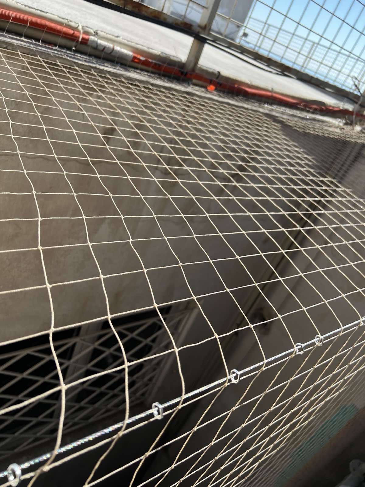 GOGA BIRDSHIELD (16)